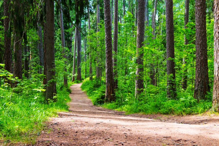 Enjoy walking down a trail surrounded by beautiful countryside