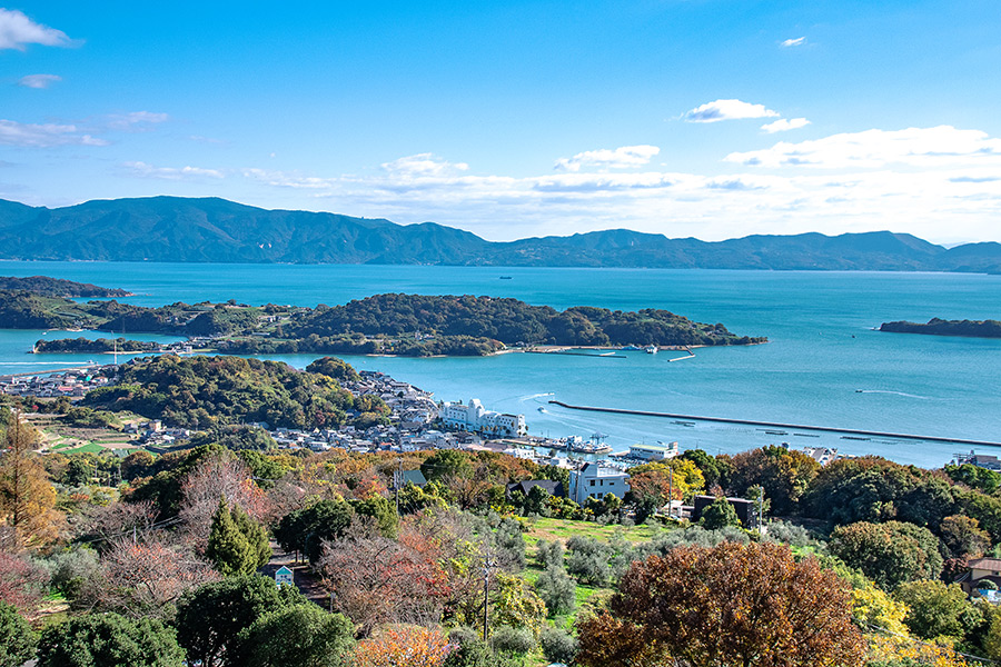 オリーブ畑からの美しい海の眺め - 岡山県 瀬戸内市
